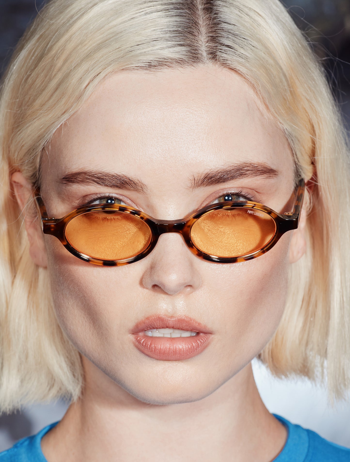 Bertie - Yellow Torti / Yellow